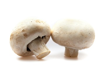 Mushroom, Edible Mushroom, Isolated.
