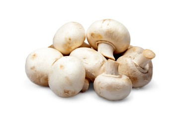 Edible Mushroom, Food, Fungus.