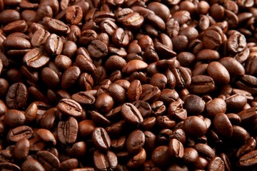 Coffee Bean, Bean, Cafe.