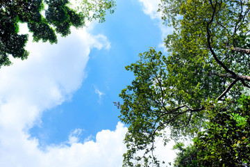 Beautiful scene at the mountain