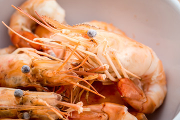 Shrimps in white bowl