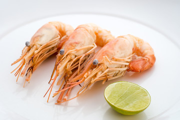 Shrimps and lemon in white plate
