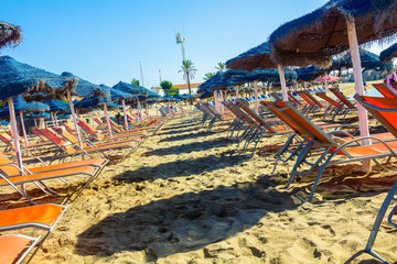 rows of blue and sun loungers parasols oranges on the beach