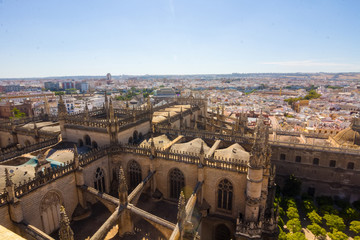 Fototapeta na wymiar Cathedral of Santa Maria de Sevilla view from the Giralda in Sev