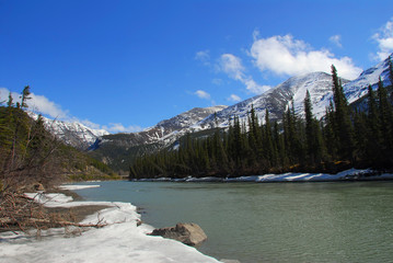 Wild mountain stream in Alaska