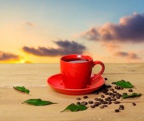 Cup, garden, breakfast.