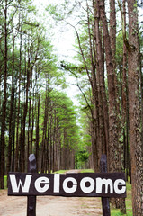 Welcome sign in pine tree forest. © petoei