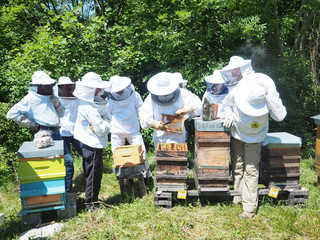 Groupe apiculteur formation Warré