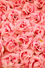 fabric  rose