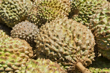 Philippines Durian