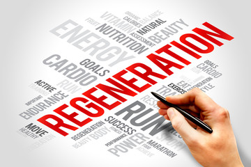 Regeneration word cloud, health cross concept