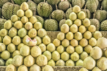 Philippines Pomelo and Durian