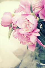 Pink peonies on wooden background - vintage photo