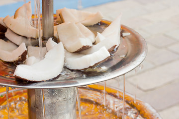 Coconut slices