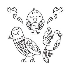 bird decorative element