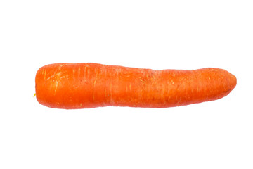 orange carrot on white background