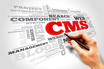 CMS Content Management System word cloud, business concept