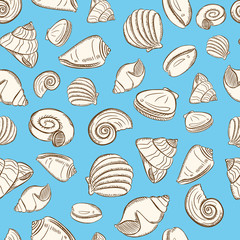 Naklejka na ściany i meble sea shells background