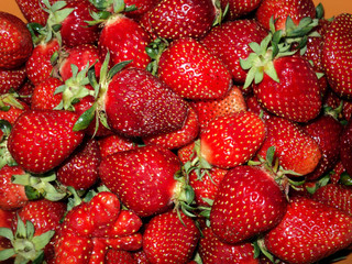 many berries sweet strawberries are a bunch together