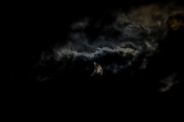 Partial Solar Eclipse