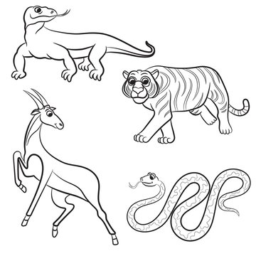 Zoo animals collection. Vector illustration.
