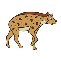 Illustration of hyena standing. Vector
