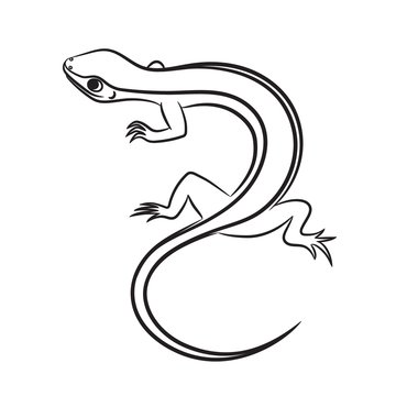 Cartoon illustration of little lizard outlined. Vector illustration.
