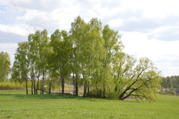 Весна на брянской земле