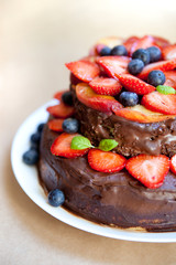 Delicious chocolate cake with fruits