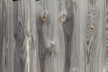 Holz / Hintergrund
