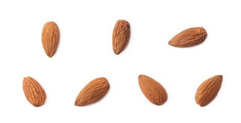Set of seven almond seed images
