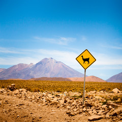 Llama road sign in chilean atacama desert, altiplano