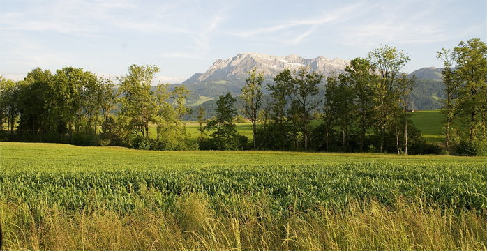 Luzerner Landschaft mit Felder,Wald und Bergen, Schweiz