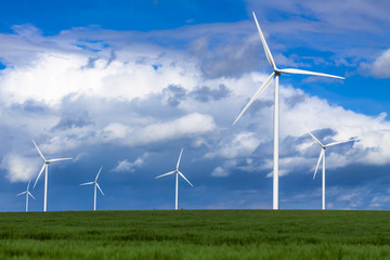 Windturbines in green field