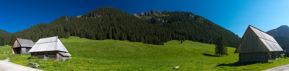 Obraz premium Chochołowska Valley - panorama