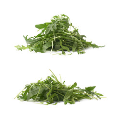 Eruca sativa rucola rocket salad