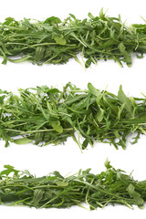 Eruca sativa rucola rocket salad