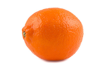 Photo of orange ripen minneola 