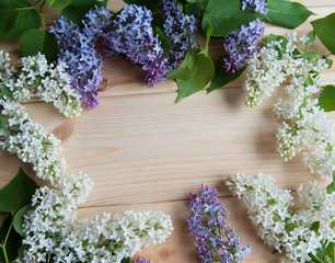 lilac branch on the table