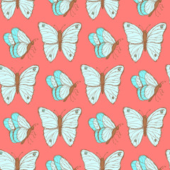 Sketch butterfly  in vintage style