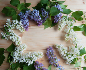 lilac branch on the table
