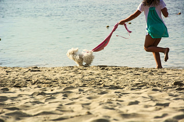 happyness,pet,dog,girl,beach,sea