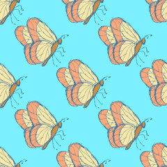 Sketch butterfly  in vintage style