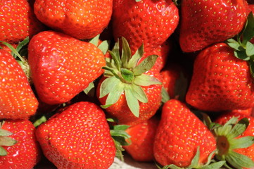 Erdbeeren strawberries