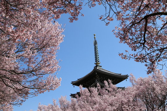 6 件の最適な 日本の風景 日本らしい 和風 風景 画像 ストック写真 ベクター Adobe Stock