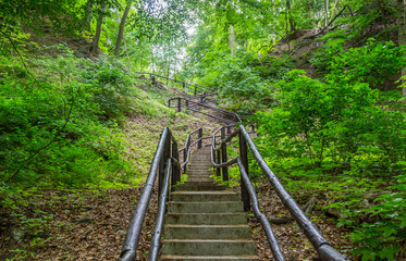 Stairs in the woods/Tourist trail in the middle of mountains