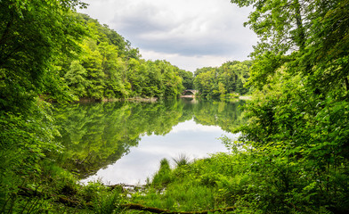 Forest lake/Lake in the middle of forest in cloudy day