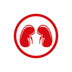 Human Kidney. Single flat icon. Vector symbol.