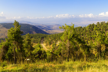 Aerial view of Galilee mountains 