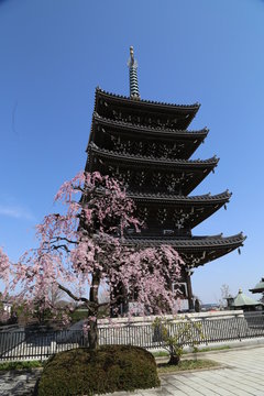 日本の風景 日本らしい 和風 風景 の画像 6 件の Stock 写真 ベクターおよびビデオ Adobe Stock